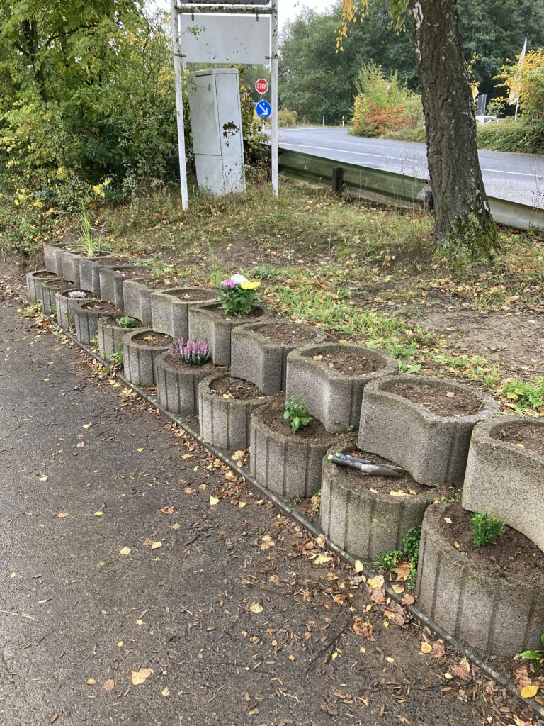 Bepflanzung des Schulhofs