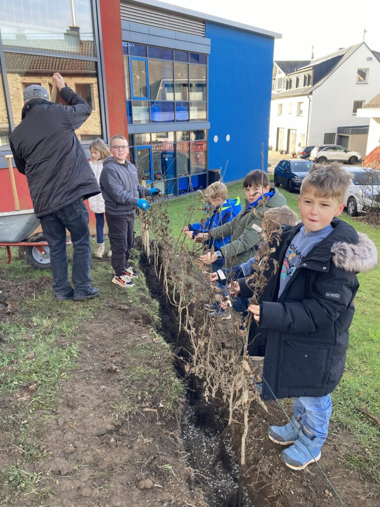 Hilfe beim Aufstellen einer Sichtschutzhecke